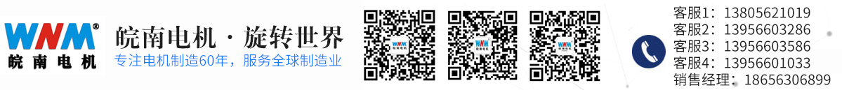 安徽涇縣皖華電機(jī)銷售有限公司